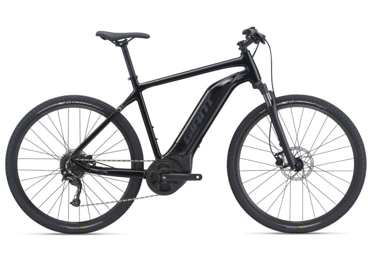 Giant Roam E+ GTS