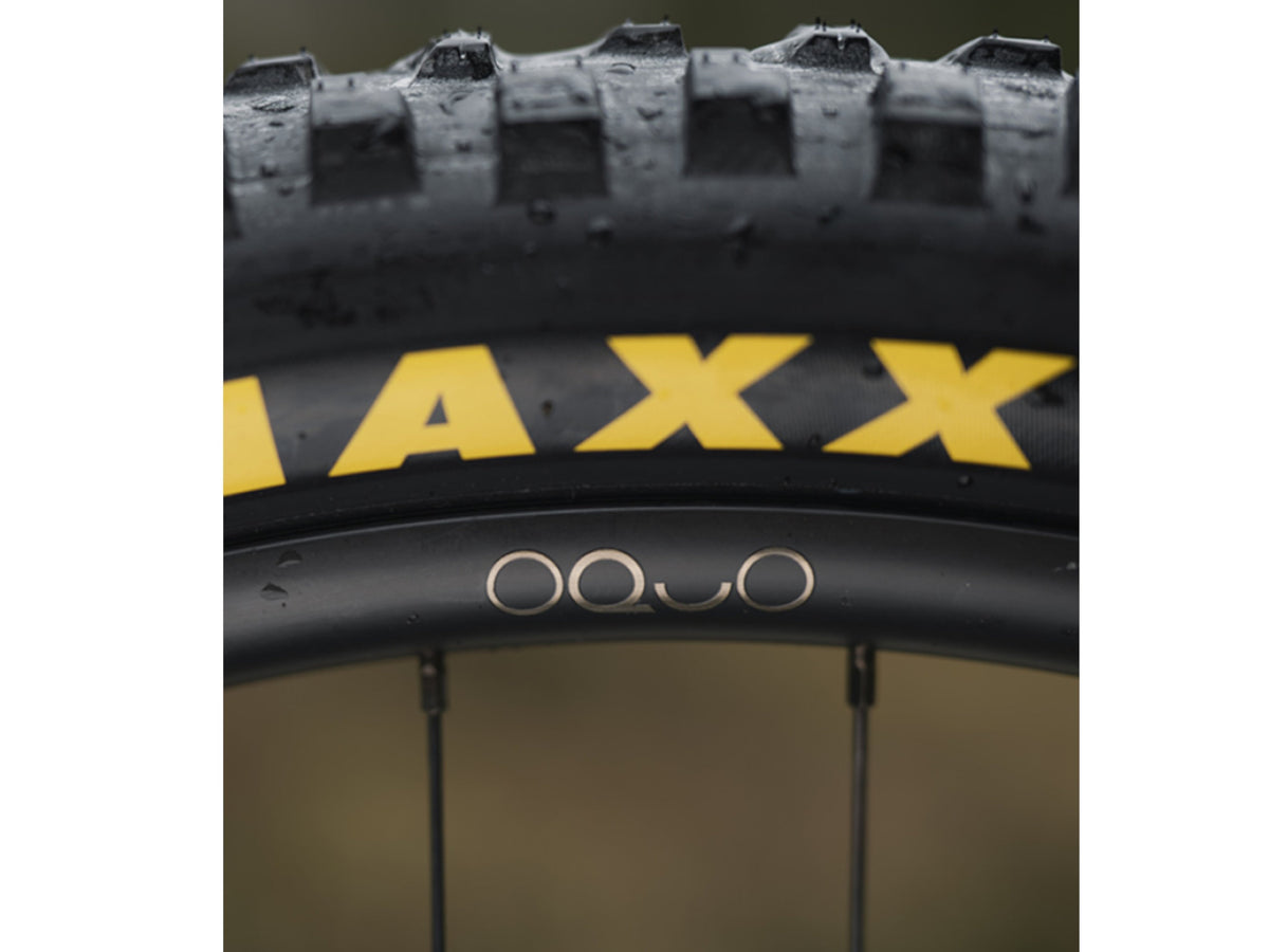 Orbea Wild H10