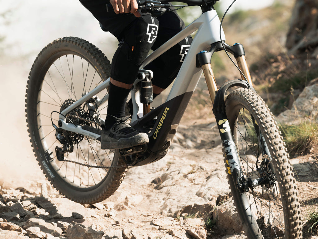 Orbea Wild H10