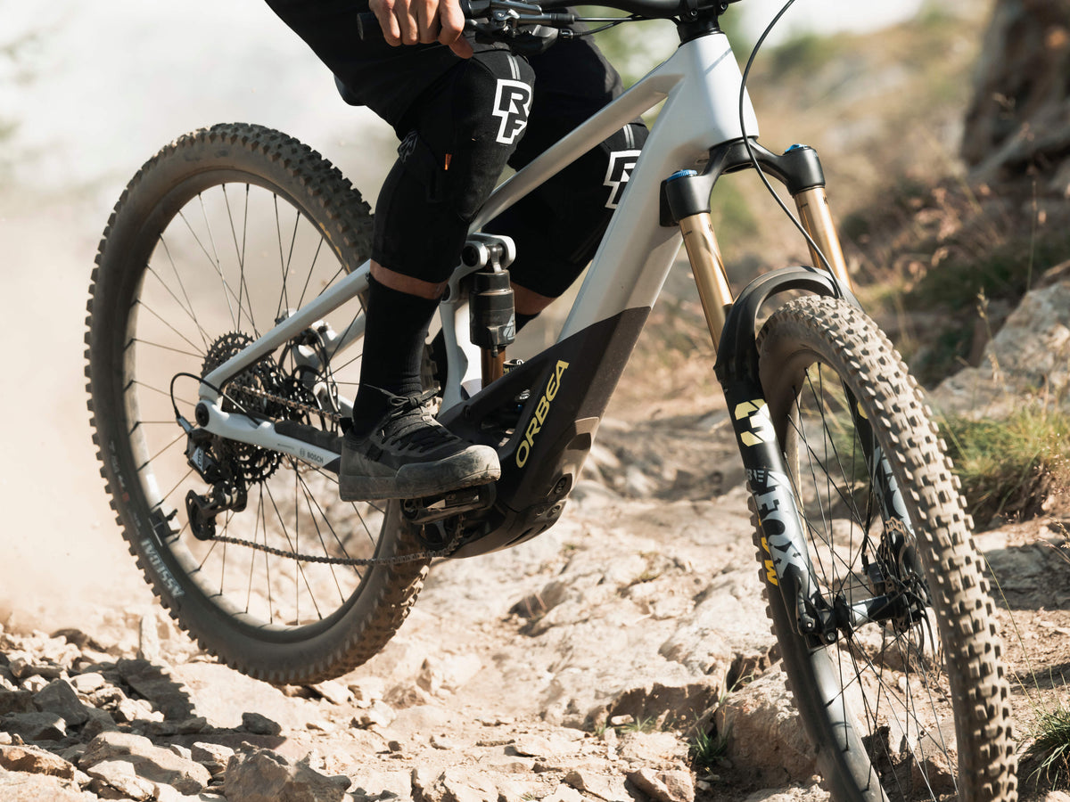 Orbea Wild H10