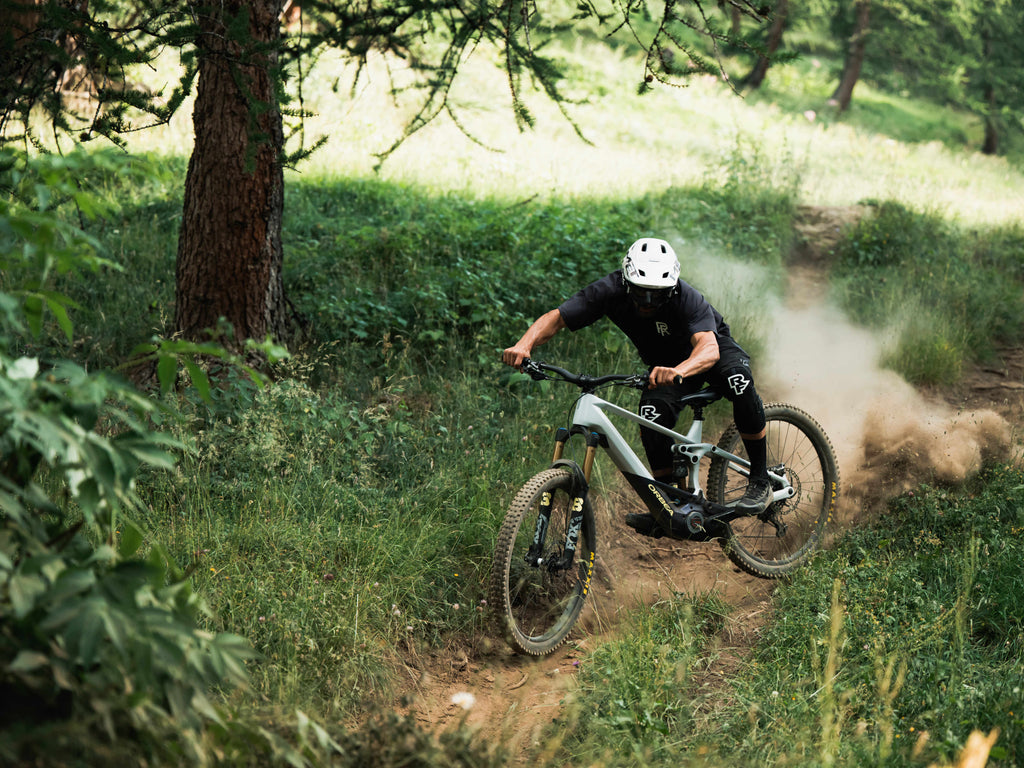 Orbea Wild H10