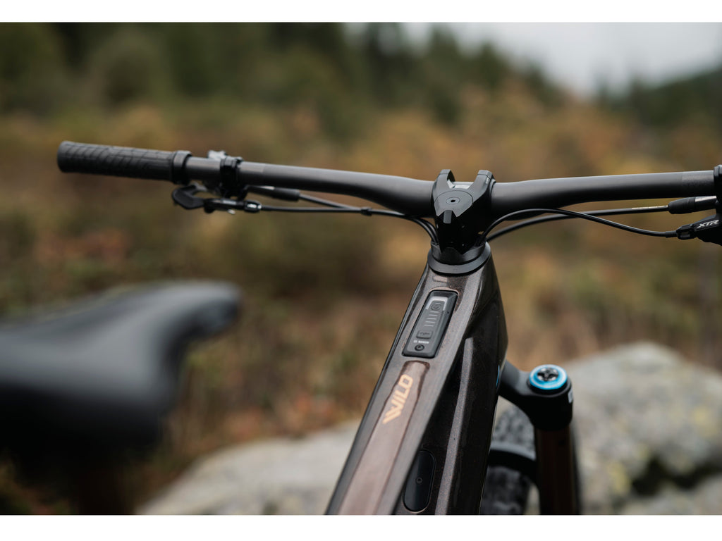 Orbea Wild M-TEAM