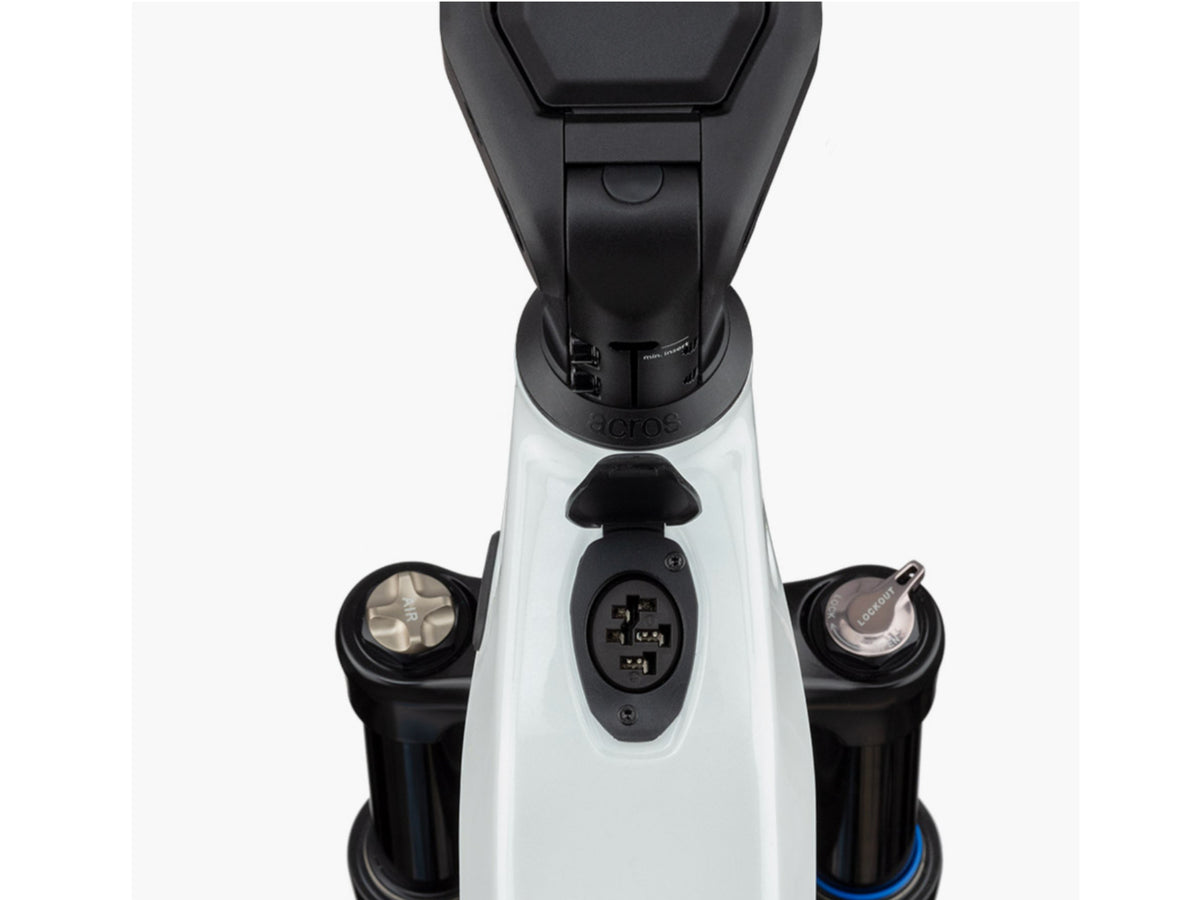 Riese and Muller Homage GT Vario HS