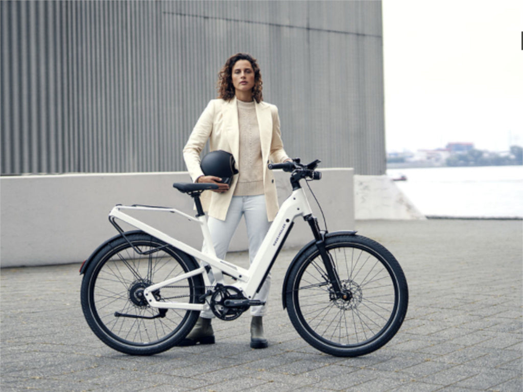 Riese and Muller Homage GT Vario HS