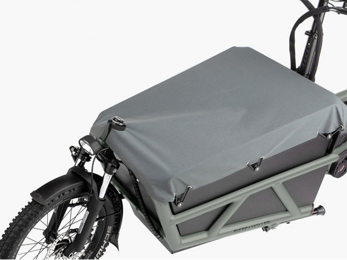 Riese and Muller Load4 60 Touring