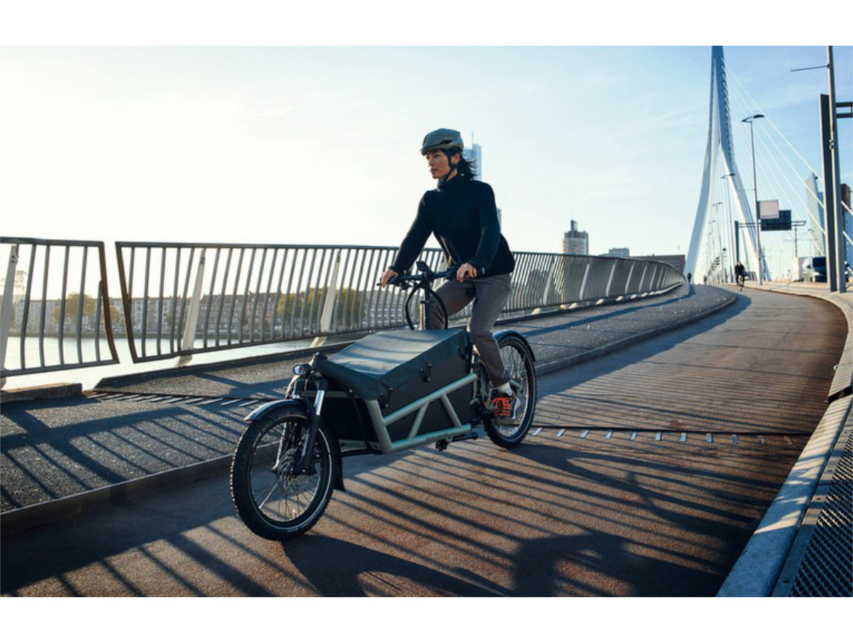 Riese and Muller Load4 60 Vario