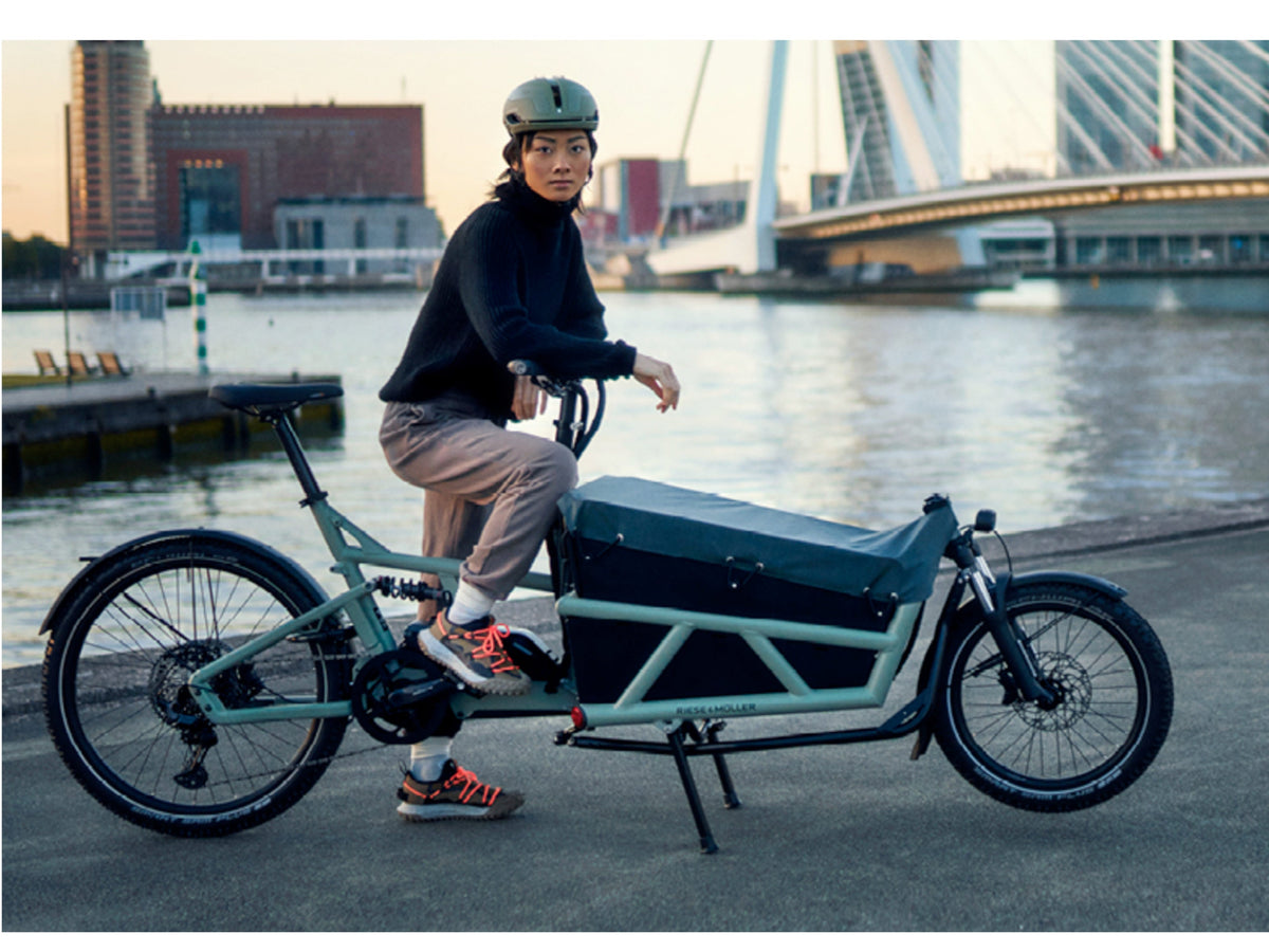 Riese and Muller Load4 60 Vario