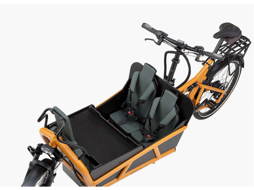 Riese and Muller Load4 75 Vario HS