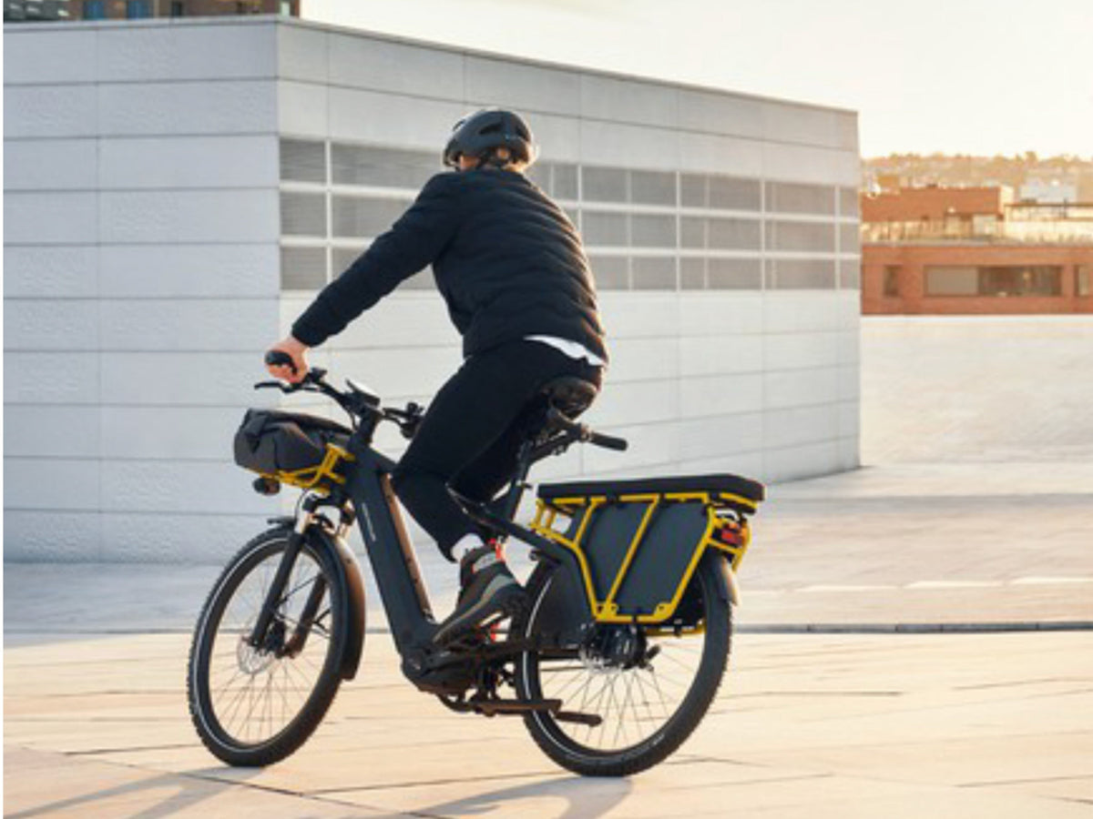 Riese & Muller Multicharger GT Rohloff HS