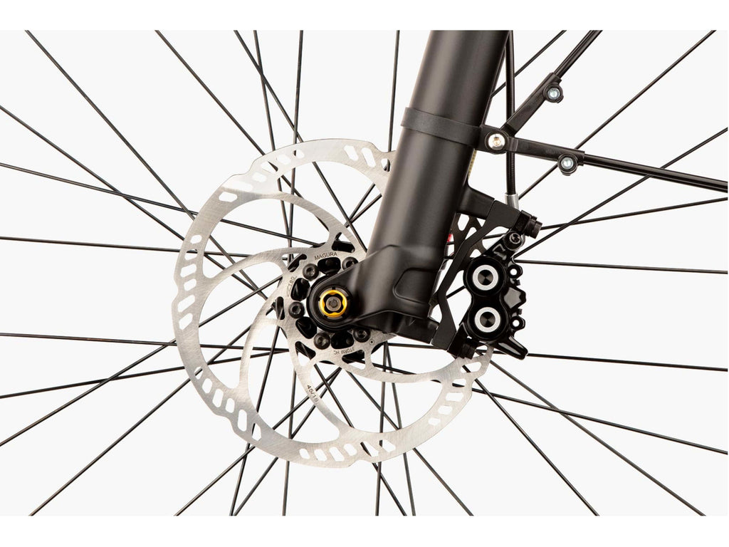 Riese & Muller Multicharger GT Touring 750