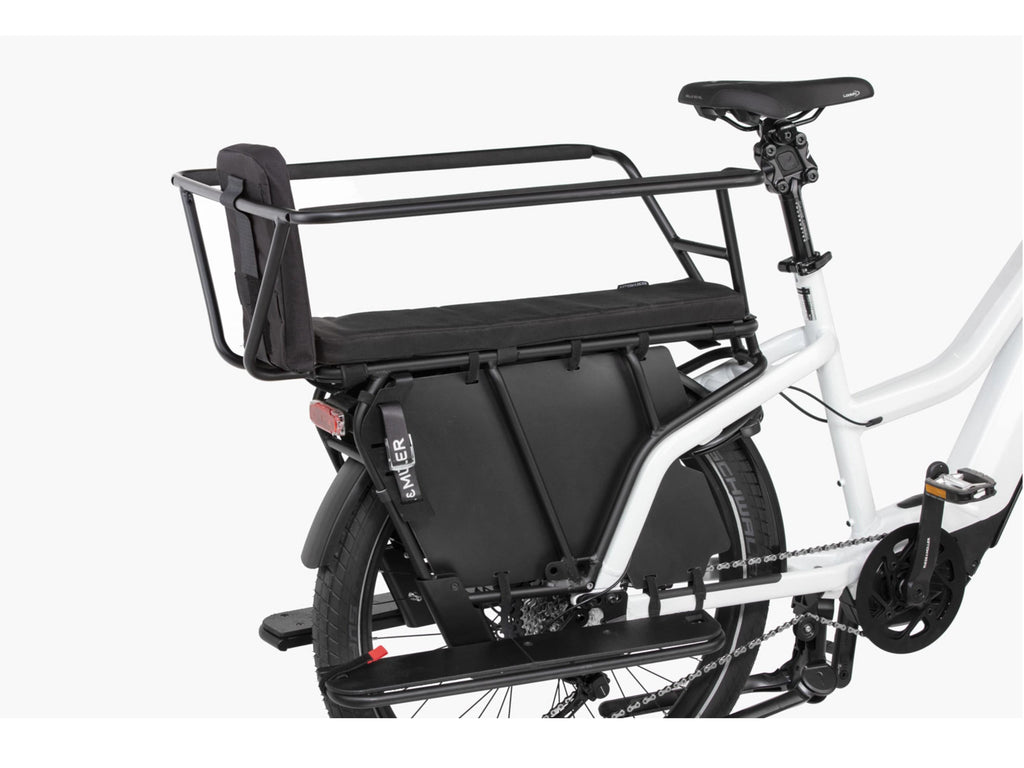 Riese & Muller Multicharger Mixte GT Vario 750