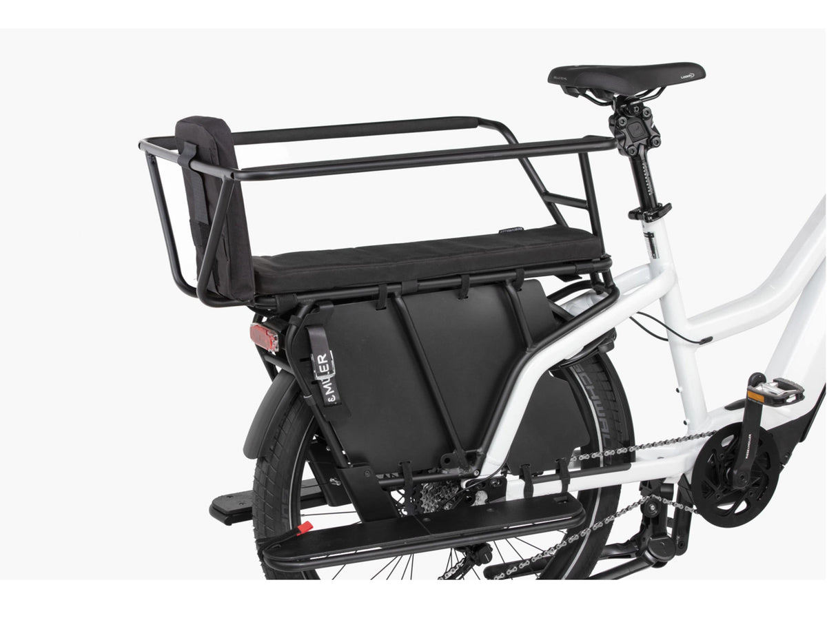 Riese & Muller Multicharger Mixte GT Vario 750