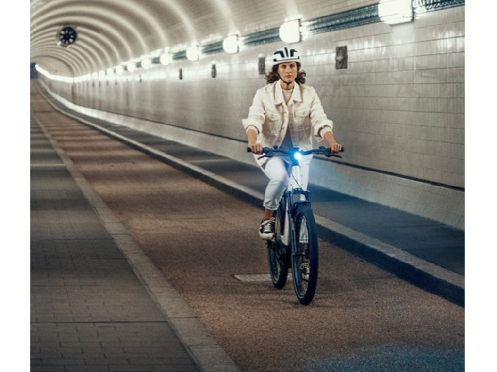 Riese & Muller Nevo GT Touring HS