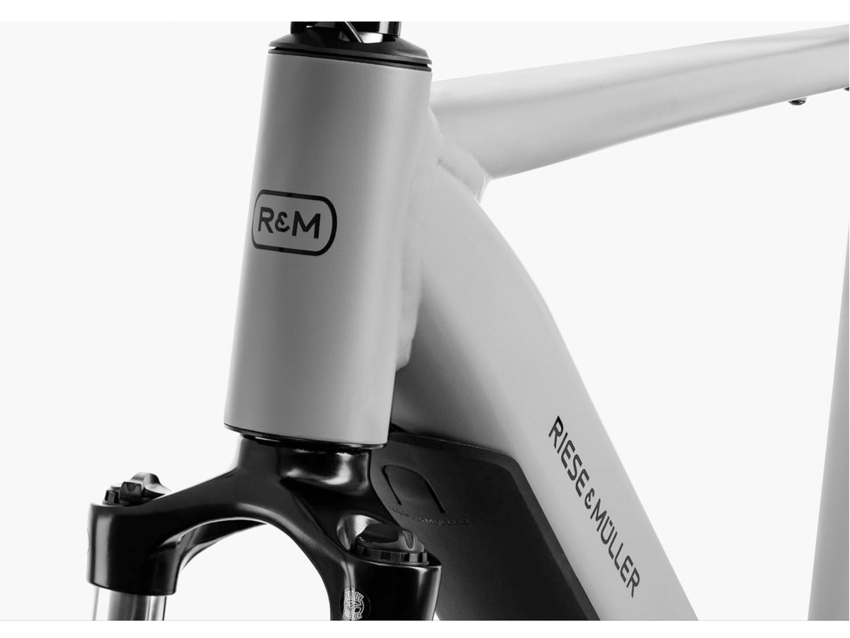 Riese and Muller Roadster Touring HS