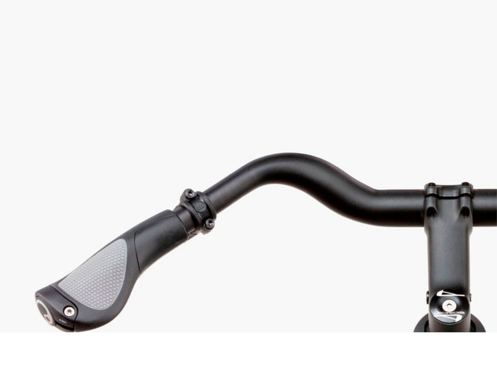 Riese and Muller Roadster Vario HS