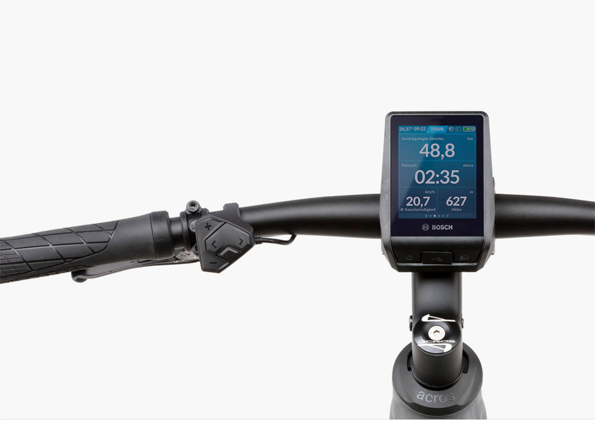 Riese and Muller Roadster Vario HS