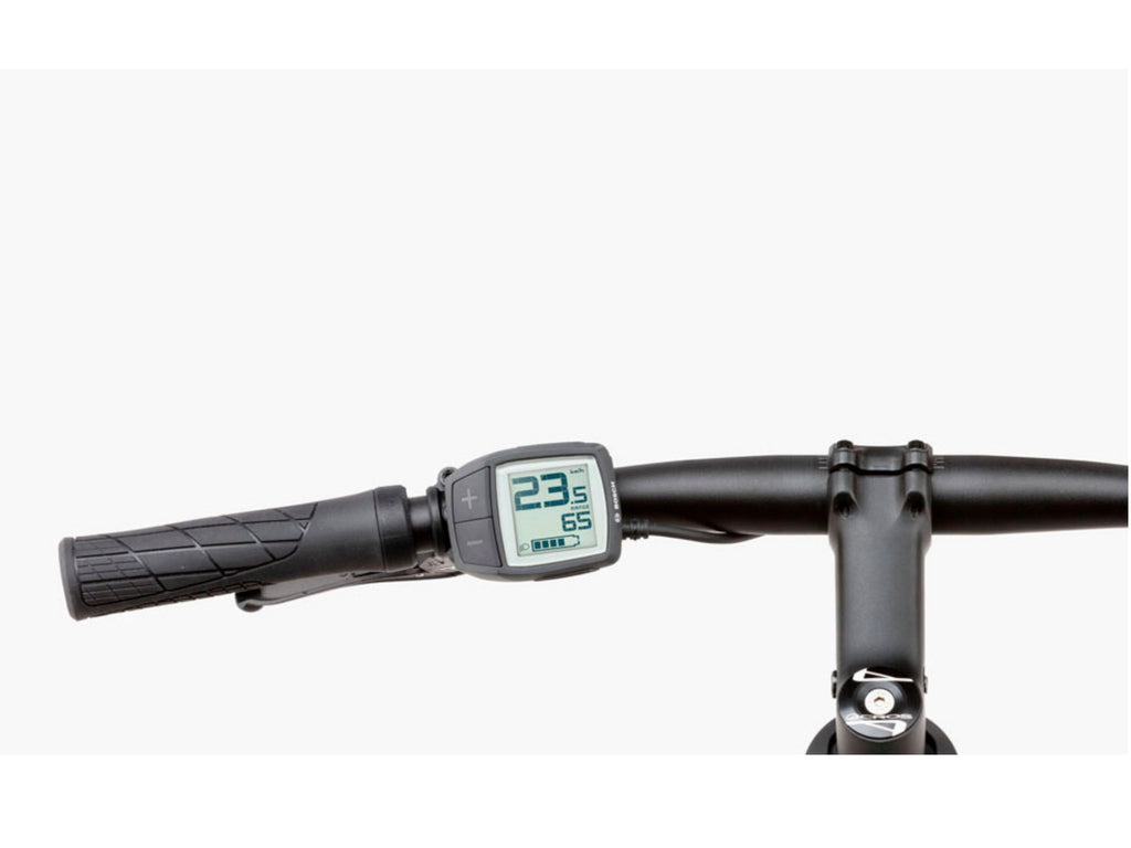 Riese and Muller Roadster Vario HS