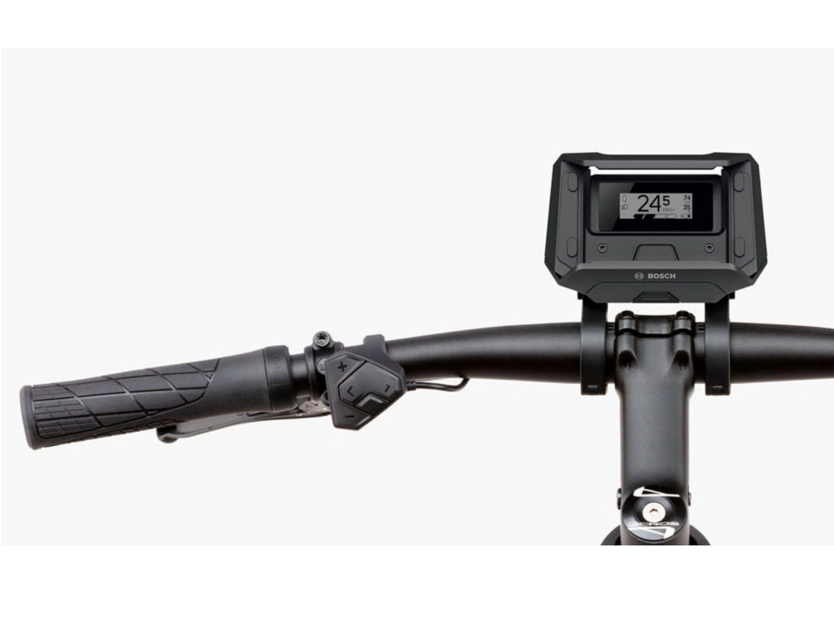 Riese and Muller Roadster Vario HS