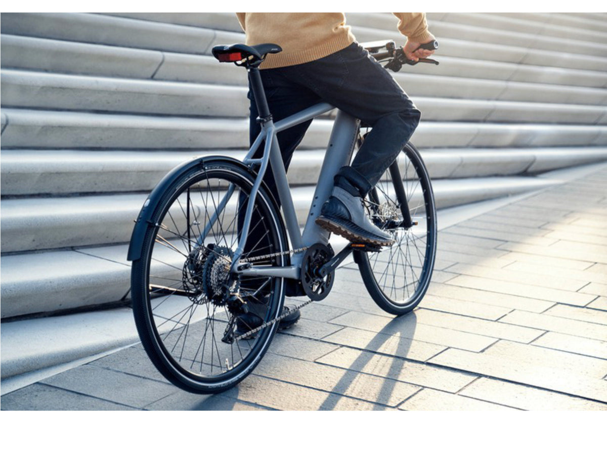 Riese and Muller Roadster Vario HS