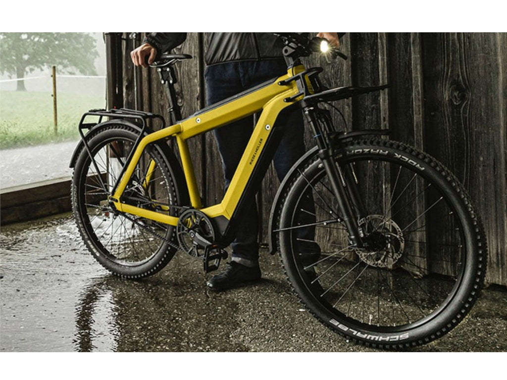 Riese and Muller Supercharger GT Vario HS